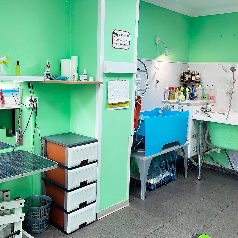 Груминг в Бутово Южное