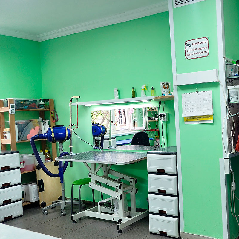 Груминг в Бутово