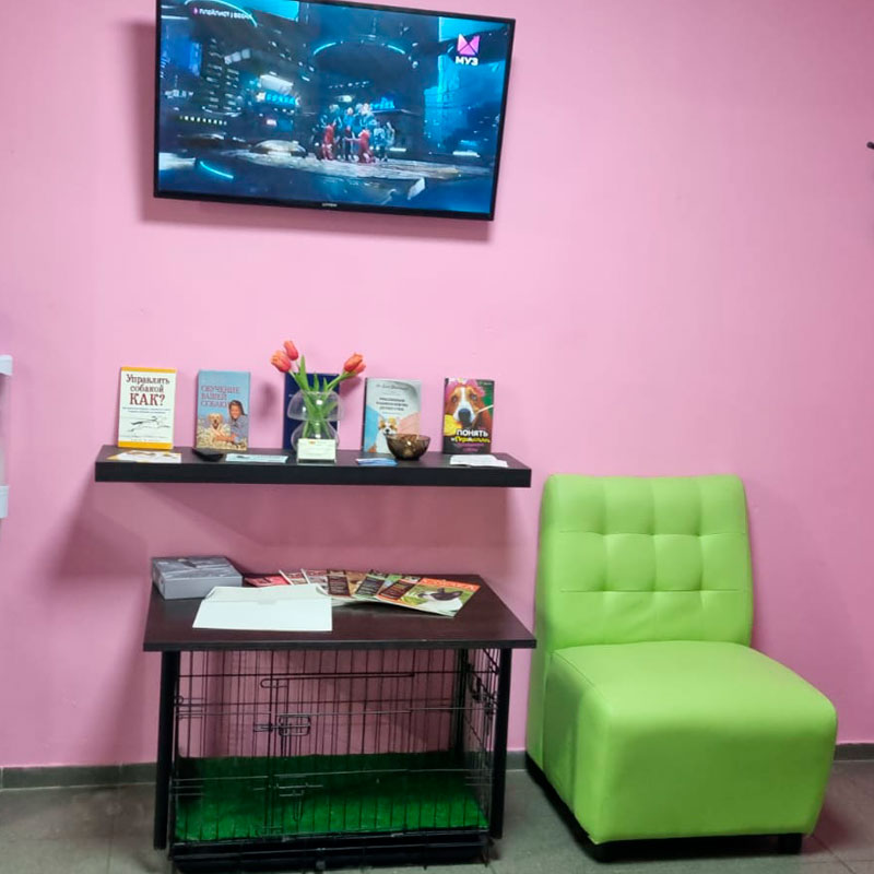 Зоосалон «Модный друг» Груминг в Бутово Южное