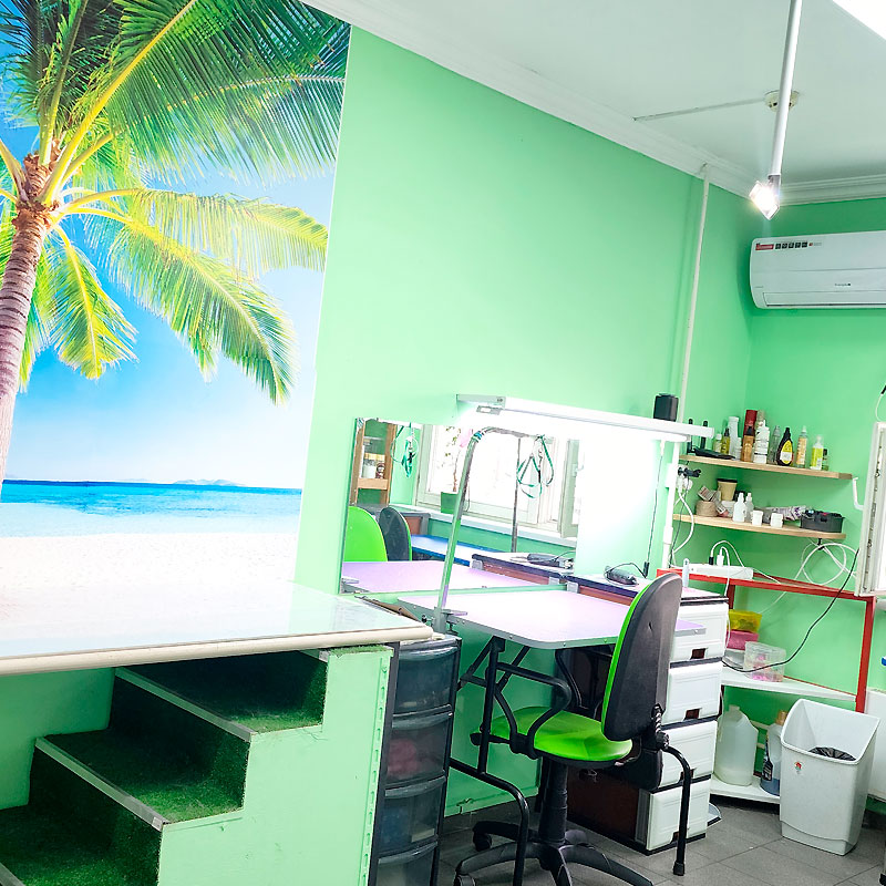 Премиальный груминг в Москве