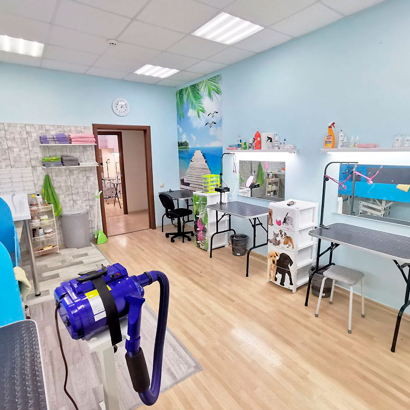 Груминг в Чертаново