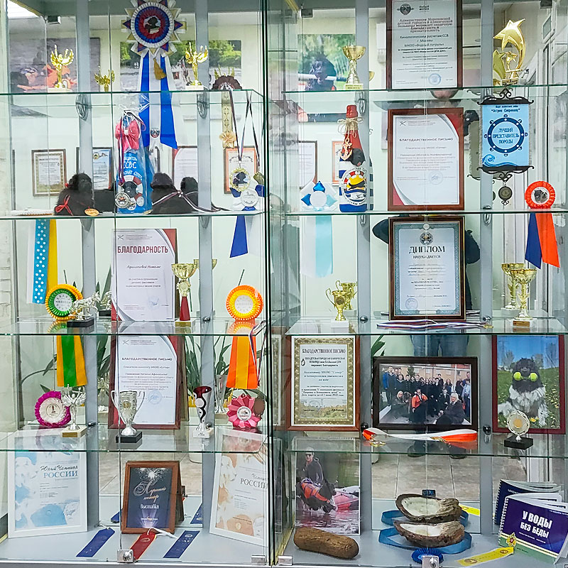 Зоосалон «Модный друг» Груминг салон в Чертаново