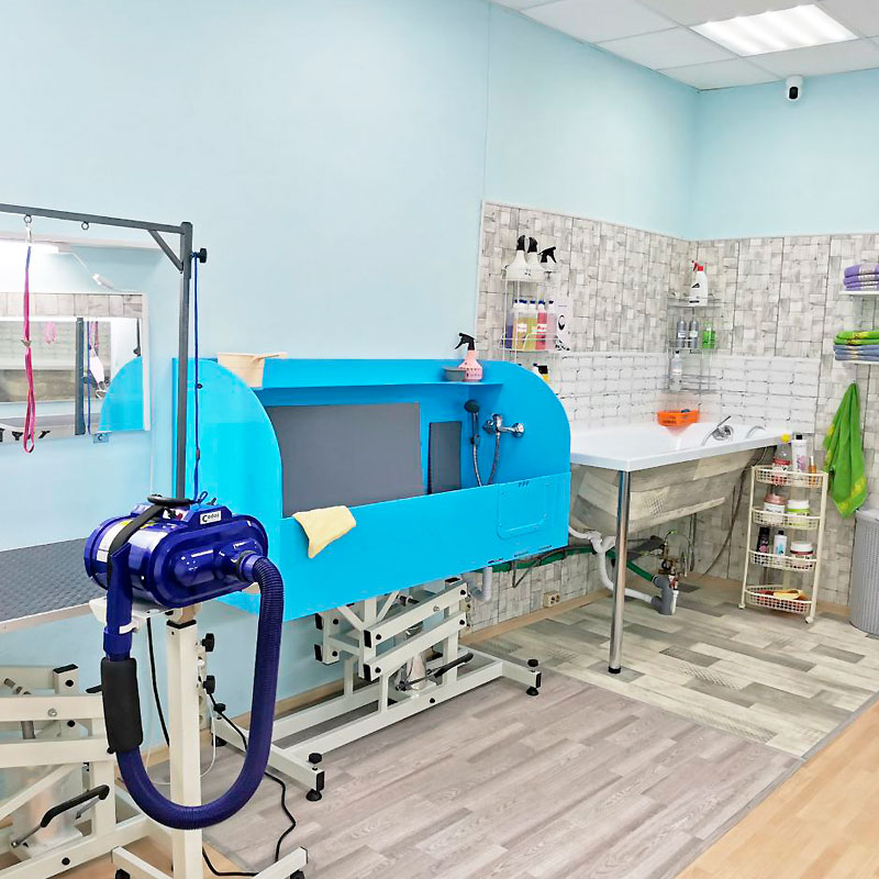 современный груминг-салон в Москве